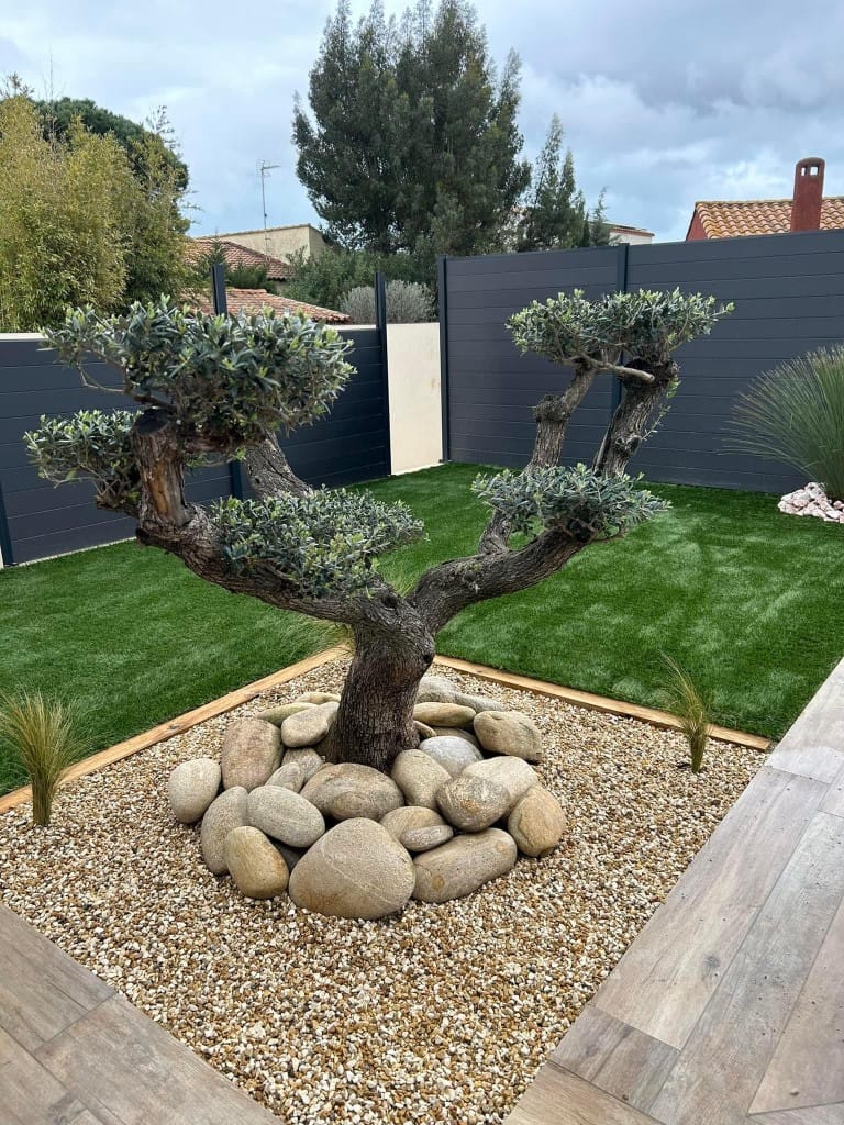 arbre paysagiste- Bego Garden Beziers