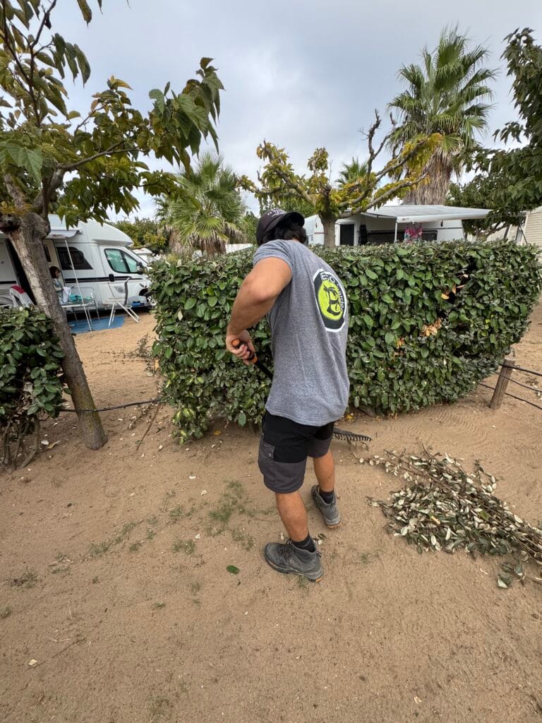 Entretien jardin espace vert - paysagiste - Bego Garden